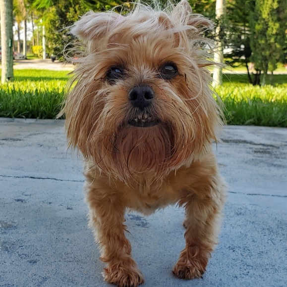 Meet your Posher - Picture 2 of 3